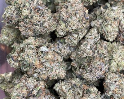 PINK ALL STAR (MEGA GAS) - Image 5